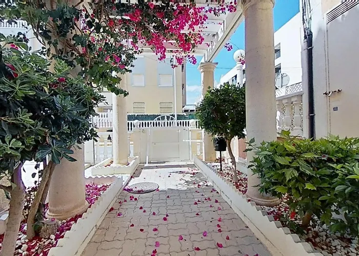 Apartman Sun La Mata